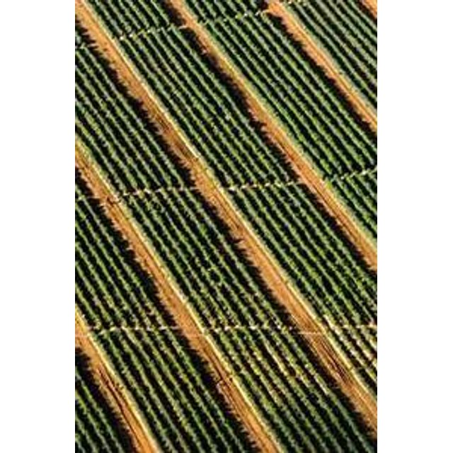 Estojo de Óculos Personalizado