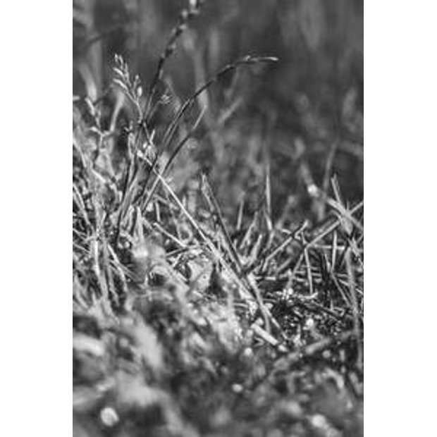 uv6jekuc41wakd0kzqke300kizp6lcgx1h4o