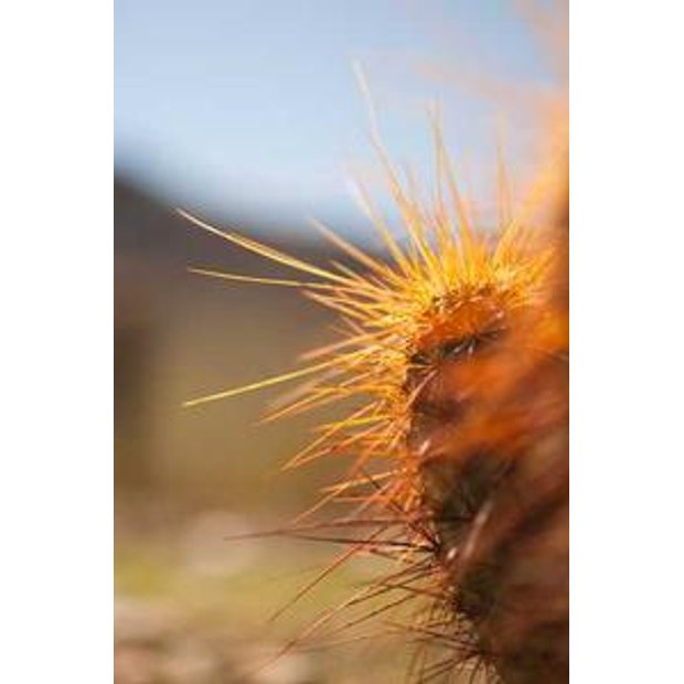 vzye71acetcqzomvomhhtjf4tfhlg92elgwp