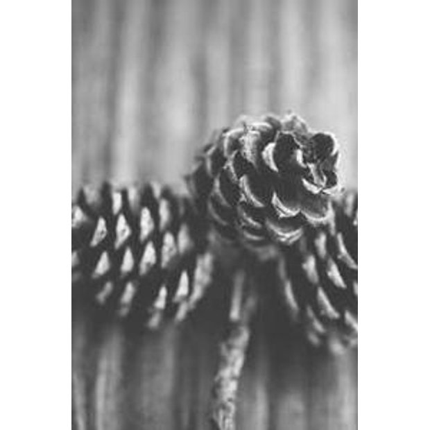 wopuyvoznpeawyziguzkit5r7sx8tw4gutu7