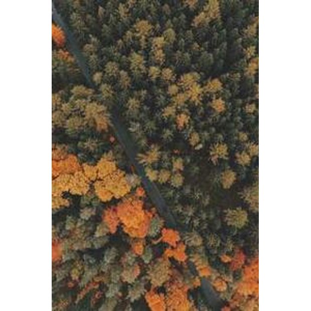 xodwwqscqzicsk0slv6ie6czgrxbwkj4udoi