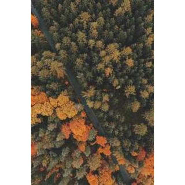 Estojo de Óculos Personalizado