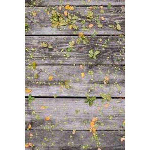 ybihr2d1ksfulnb59rbd8orgtjzheqbiydjg