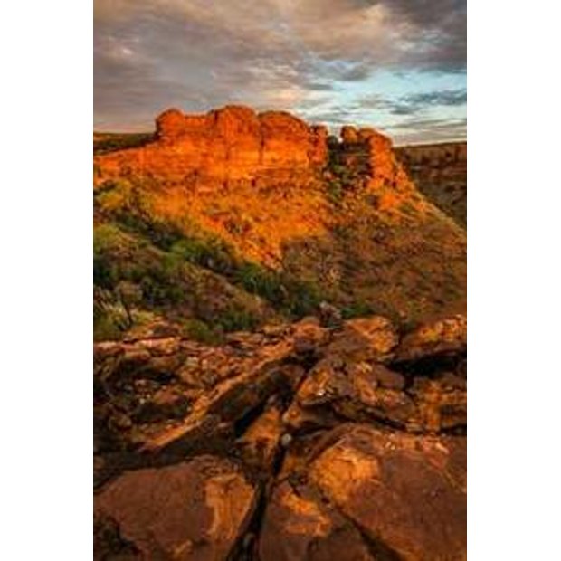 yyq91swnuyqwwykkonsi0k9e7omg4cjrjxgt