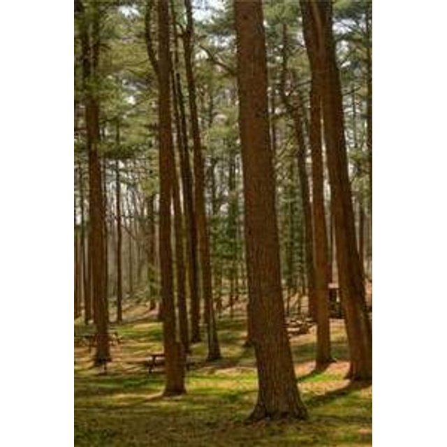 Estojo de Óculos Personalizado