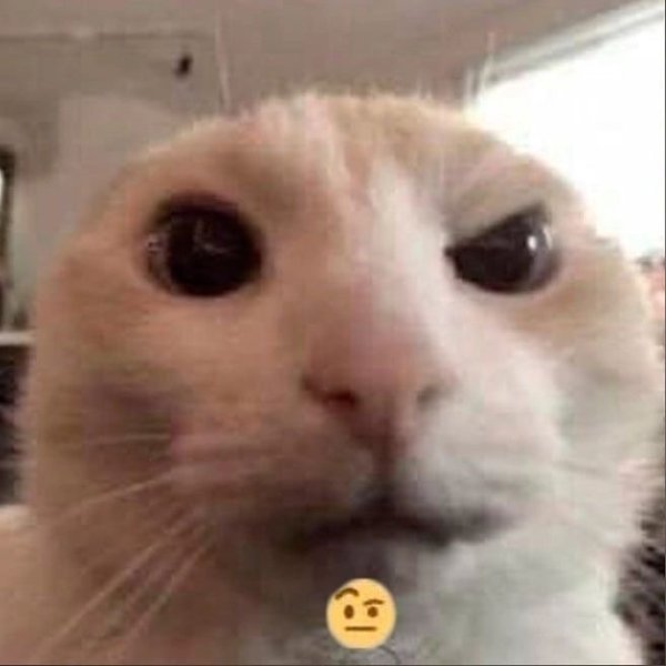 cat-1