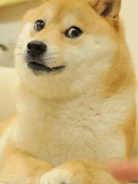 doge