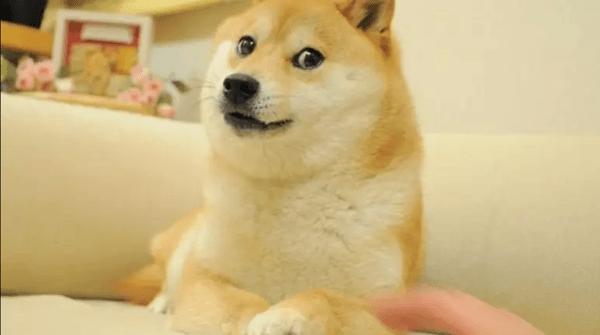 doge