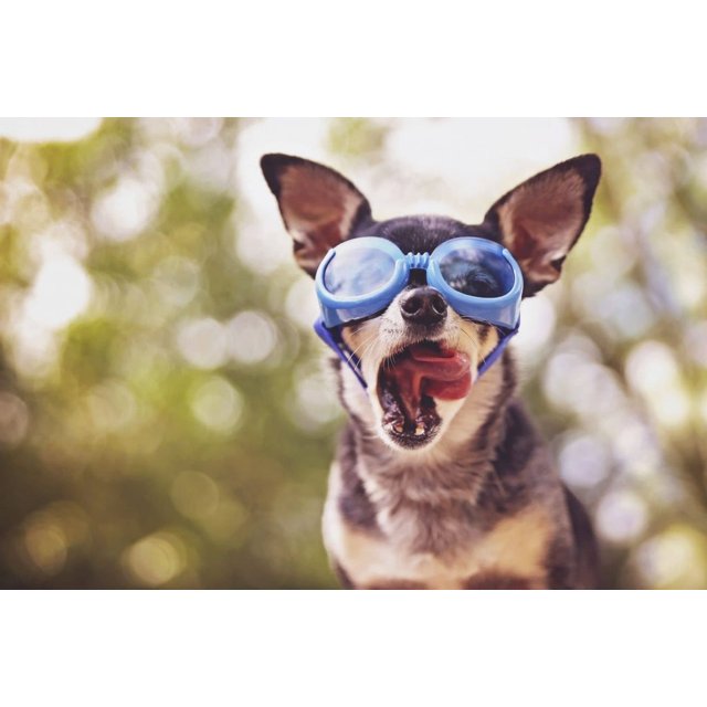 Componente com estoque limitado