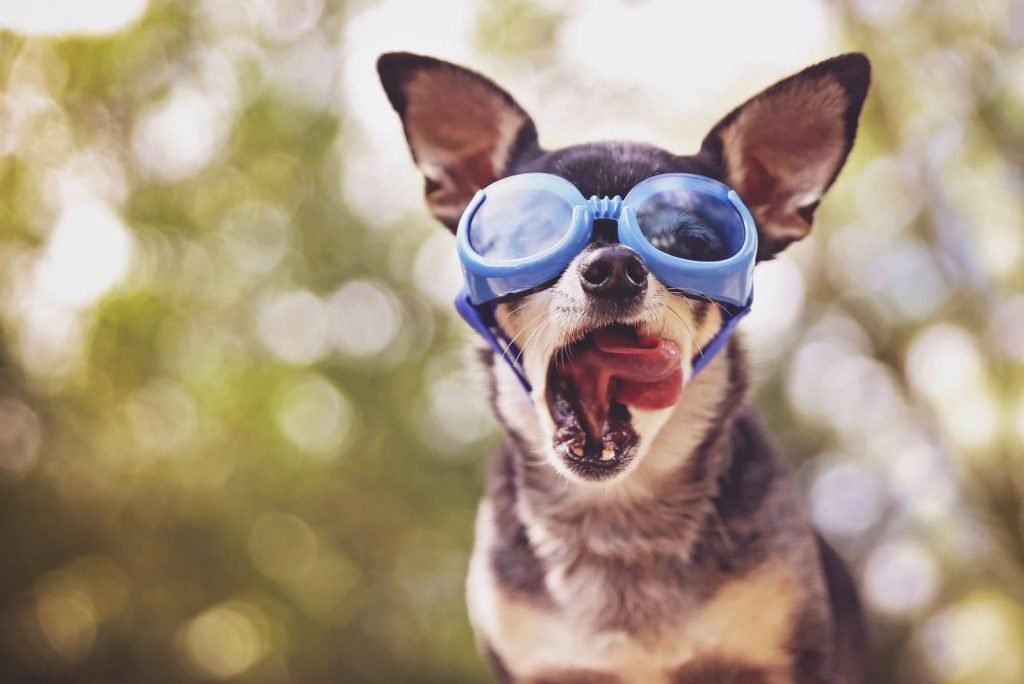 Componente com estoque limitado