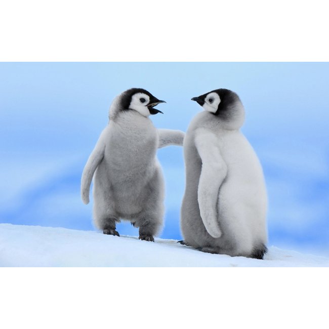 Componente com venda sem estoque